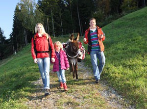 Urlaub Alpen Familie Österreich