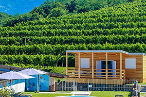 Der Ferienbauernhof Saksida befindet sich in den slowenischen Alpen und ist von Weinbergen umgebenen. 